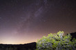 © James - Night Sky over Anza-Borrego