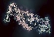 © Science RF - Troponin cardiac protein molecule, illustration