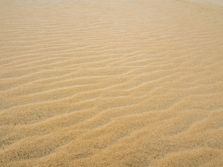  Textured sandy surface