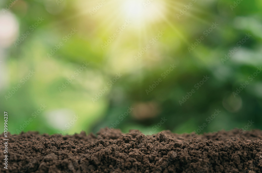 soil for planting with green blur and sunlight background - obrazy, fototapety, plakaty 