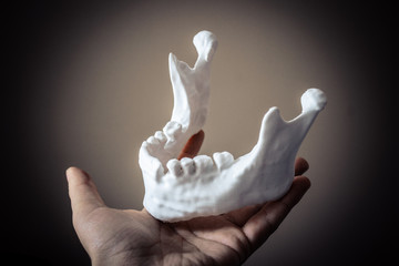 A girl holds a mandible printed on a 3d printer on her palm close-up. Automatic three dimensional performs plastic modeling. Progressive modern additive technology