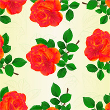 Seamless Texture Flower Orange Rose And Leaves Vintage  Vector Illustration Editable Hand Draw