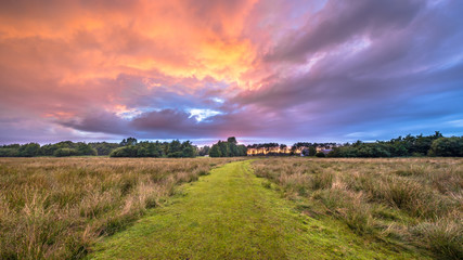 Sticker - Trail through Wild natural landscape under beautiful sky