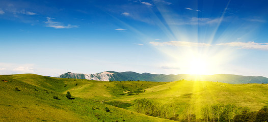 Poster - green field and blue sky