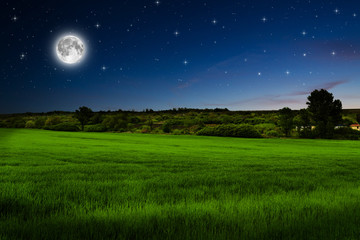 Wall Mural - green field