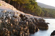 Forest, rocks and sea