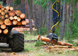 © Kletr - Lumberjack with modern harvester working in a forest. Wood as a source renewable energy.
