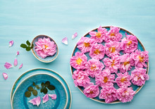 Beautiful Pink Damask Roses On Turquoise Painted Wooden Background. Top View, Flat Lay.