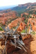 Bryce Canyon, the best!