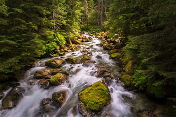 I rushing river flowing though the North Cascades National Park in Washington state