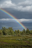 Fototapeta Tęcza - Rainbow in The North