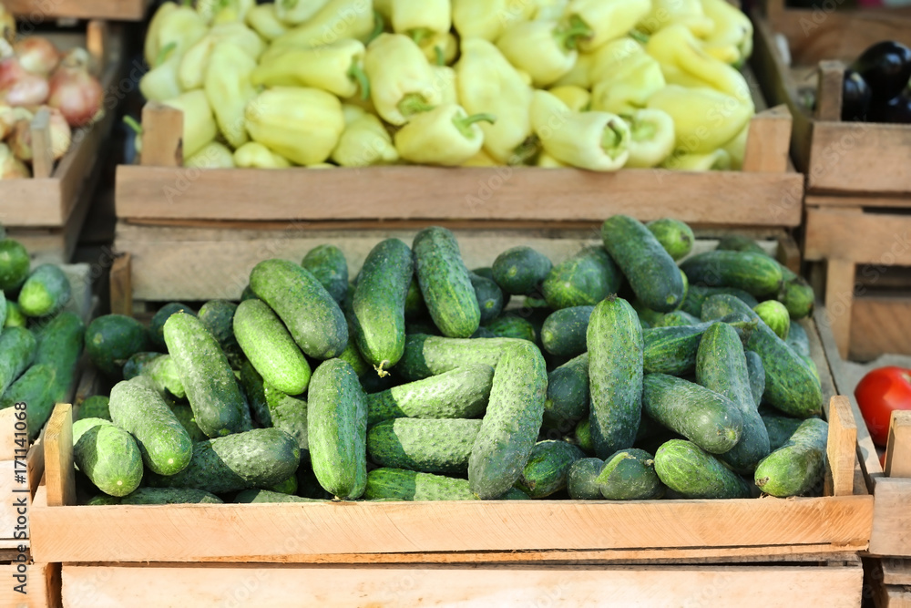 Fresh cucumbers in crate for sale in market
