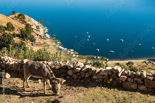 Photographie  Isle de Sol on Lake Titicaca in Bolivia