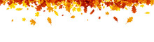 Autumn banner with orange leaves.