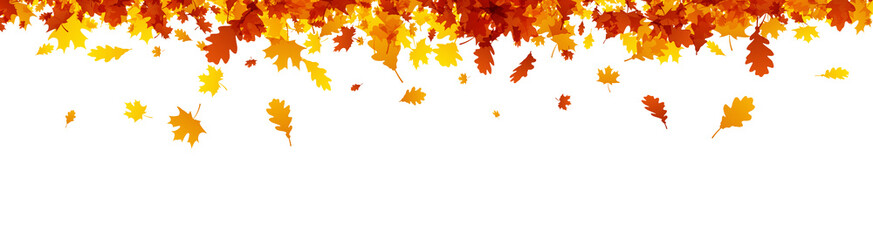 Autumn banner with orange leaves.