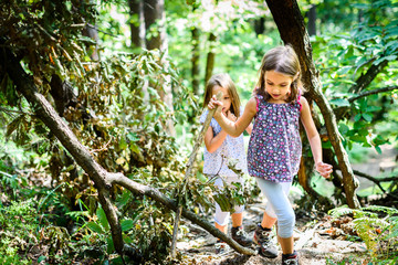 Children - twin girls are hiking in the mountains.