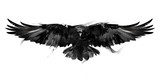 isolated black and white illustration of a flying bird crow front
