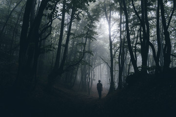 Wall Mural - man shadow in dark scary mystery forest halloween landscape