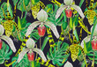 Pattern leaves of monsters and orchids. Background - black