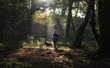 © RooM The Agency - Woman walking in forest with her dog, Aralar, Navarra, Spain
