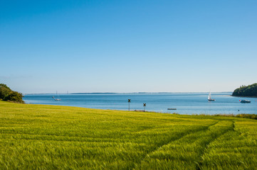 Danish coastal landscape