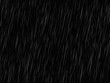 Vector rain texture on black. Abstract vector background