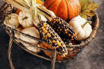 Wall Mural - pumpkins and corn in the basket