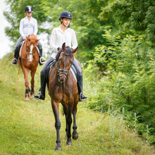 Two Rider Woman On Horses Going Down From The Hill. Equestrian Summer Activities Background