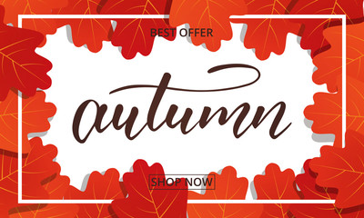 Wall Mural - autumn sale banner . background with oak leaves frame and trendy autumn brush lettering. seasonal fa
