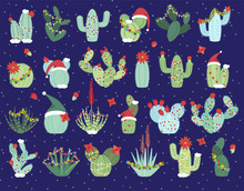 Christmas Or Holiday Themed Cactus And Succulent Collection