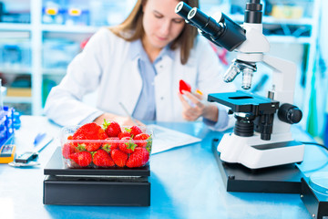 Wall Mural - Strawberry fruit research in laboratory. Food Processing and Quality Control