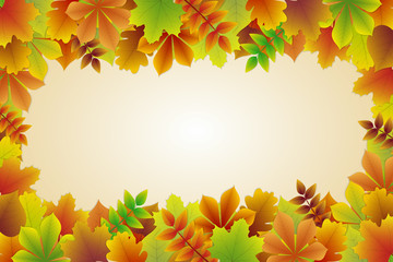 Wall Mural - background with colourful autumnal leaves. vector.