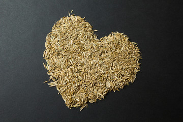 Wall Mural - Heart from grass seeds on a black background.