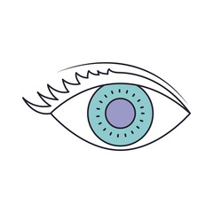 Sticker - eye with eyelashes in color section silhouette vector illustration