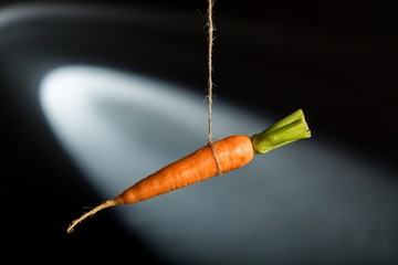 carrot.