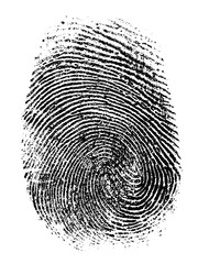 Wall Mural - fingerprint vector illustration