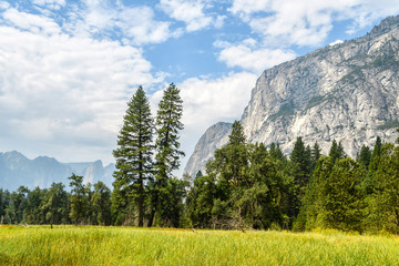 Wall Mural - yosemite valley landscape at summer time