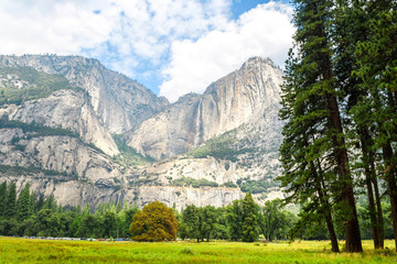 Wall Mural - yosemite valley landscape at summer time