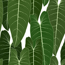 Long Big Tropical Leaves With Sharp Tips Overlay Repeat Seamless Pattern Texture. Shades Of Green On White Background. Botanical Garden Rainforest. Feather Shape. Vector Design Illustration.