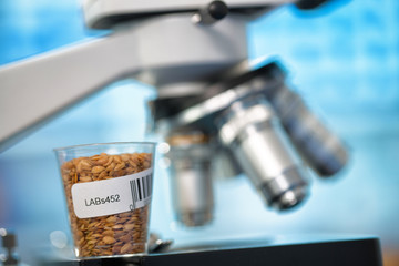 Wall Mural - Seeds and cereals in the laboratory of food quality