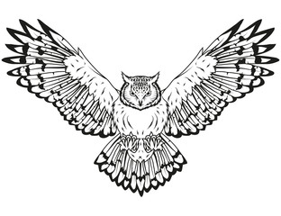 Wall Mural - Owl logo