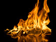 © Dickov - Burning fire on black background.