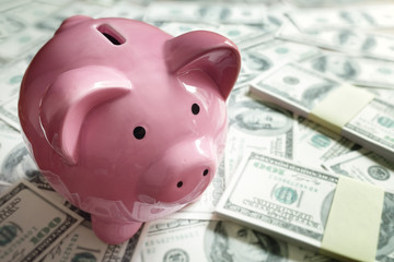 Piggy bank on money concept for business finance, investment and saving