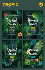 Set of Bright tropical background with jungle plants. Exotic pattern with tropical leaves