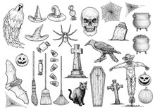 Halloween Collection Illustration, Drawing, Engraving, Ink, Line Art, Vector