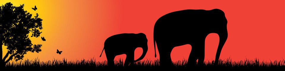 Sticker - Vector silhouette of elephant in nature at sunset.