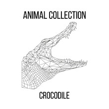 Crocodile Head Geometric Lines Silhouette Isolated On White Background Vintage Vector Design Element Illustration