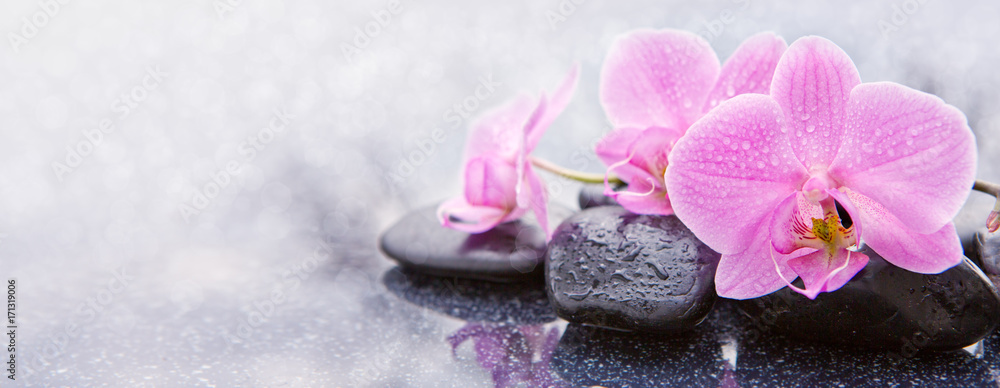Pink orchid and spa stones isolated.