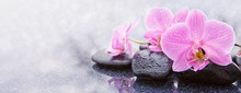 Pink Orchid And Spa Stones Isolated.