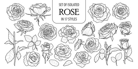 set of isolated rose in 17 styles. cute flower illustration in hand drawn style. black outline and w